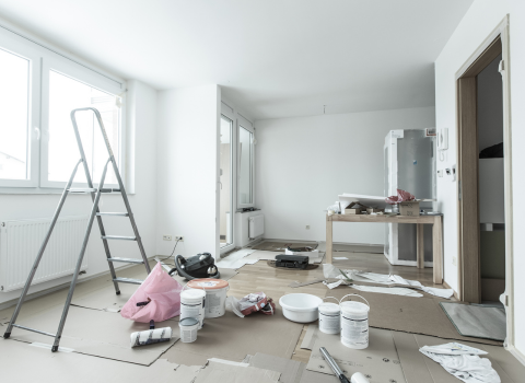 assessment of your space and its limitations for home renovation