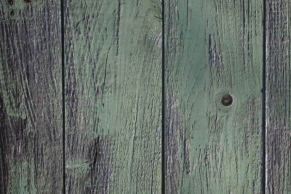 How to paint your front door, painting your front door, paint your front door
